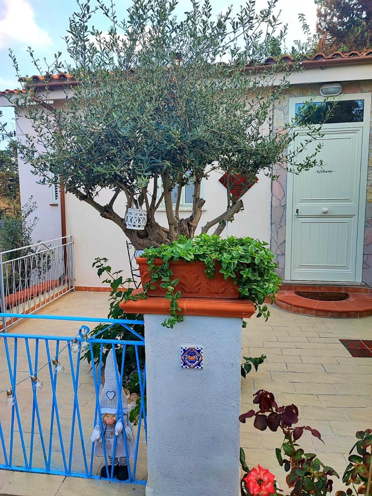 La Casetta Degli Ulivi Palermo Ngoại thất bức ảnh